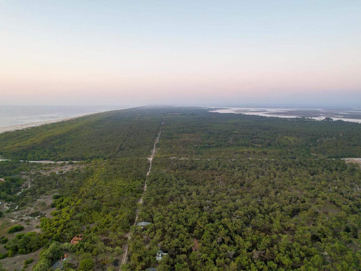 Apartamento Encantador Perto Da Praia, Em Sao Jacinto Leilighet Aveiro Eksteriør bilde