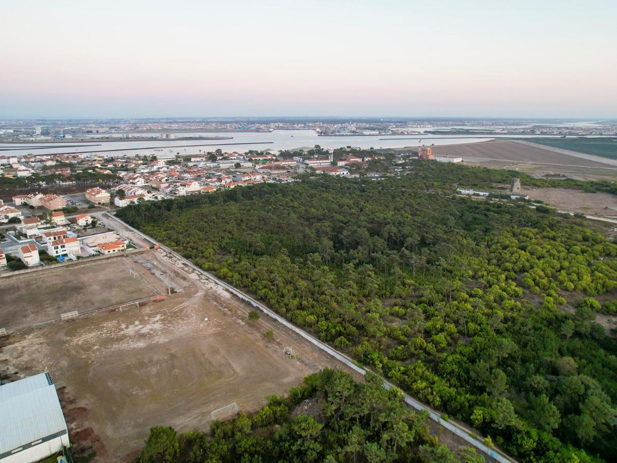 Apartamento Encantador Perto Da Praia, Em Sao Jacinto Leilighet Aveiro Eksteriør bilde